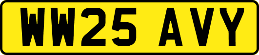 WW25AVY