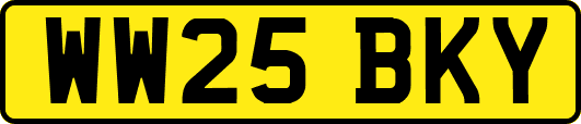 WW25BKY