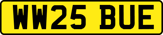 WW25BUE