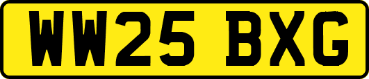 WW25BXG