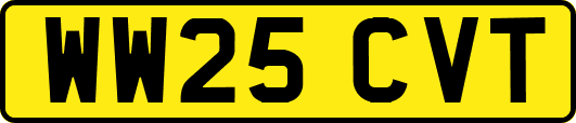 WW25CVT