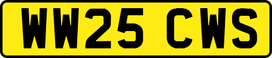 WW25CWS