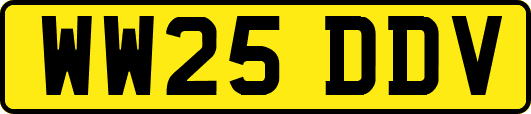WW25DDV