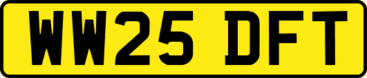 WW25DFT