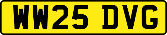 WW25DVG