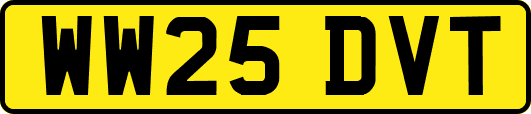 WW25DVT