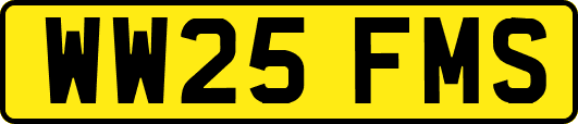 WW25FMS
