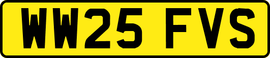 WW25FVS
