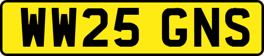 WW25GNS