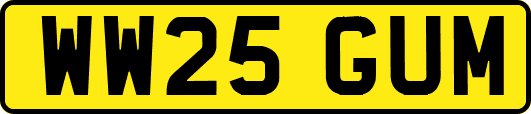 WW25GUM
