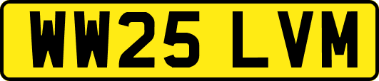WW25LVM