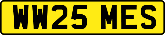 WW25MES