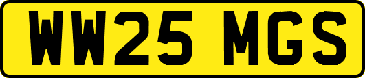 WW25MGS