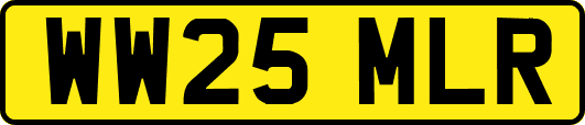 WW25MLR