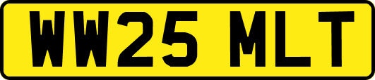 WW25MLT