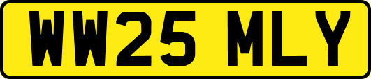 WW25MLY