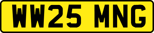 WW25MNG