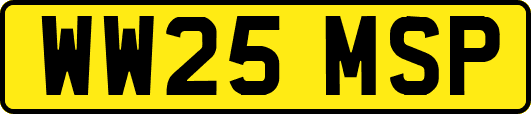 WW25MSP