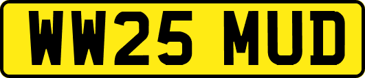 WW25MUD