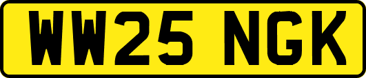 WW25NGK