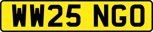 WW25NGO