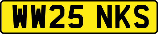 WW25NKS