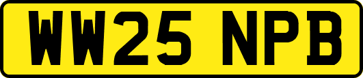 WW25NPB