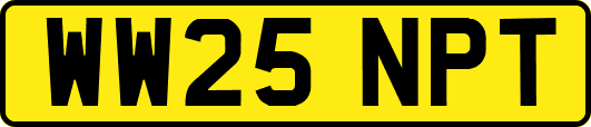WW25NPT