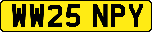 WW25NPY