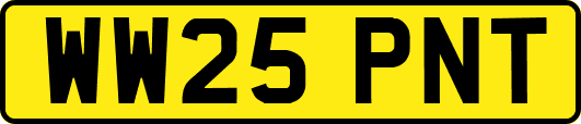 WW25PNT