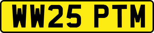 WW25PTM