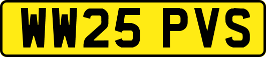 WW25PVS