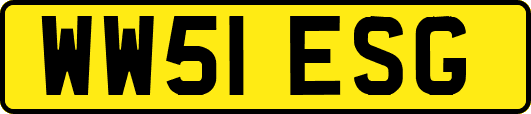 WW51ESG