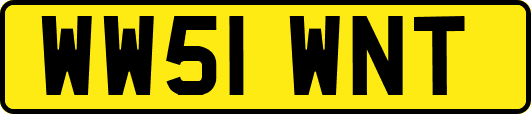 WW51WNT