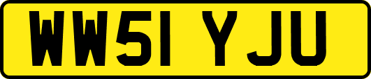 WW51YJU