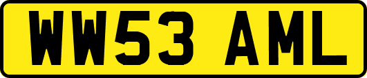 WW53AML