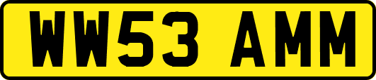 WW53AMM