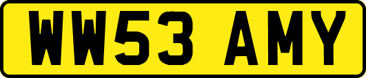 WW53AMY