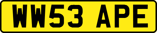 WW53APE