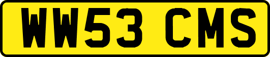 WW53CMS
