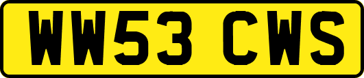 WW53CWS