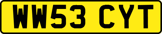 WW53CYT