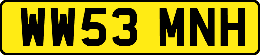 WW53MNH