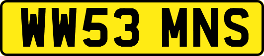 WW53MNS