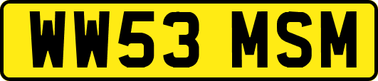 WW53MSM