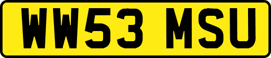 WW53MSU