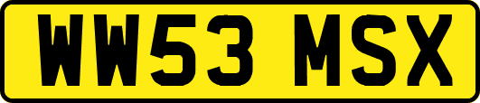 WW53MSX