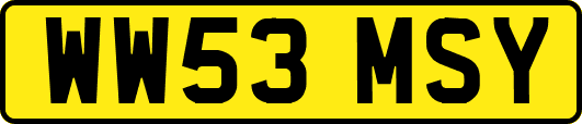 WW53MSY