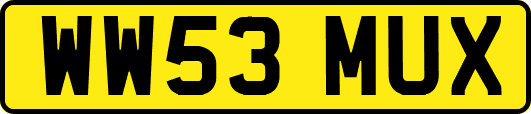 WW53MUX
