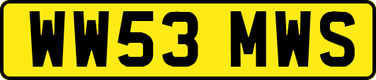 WW53MWS